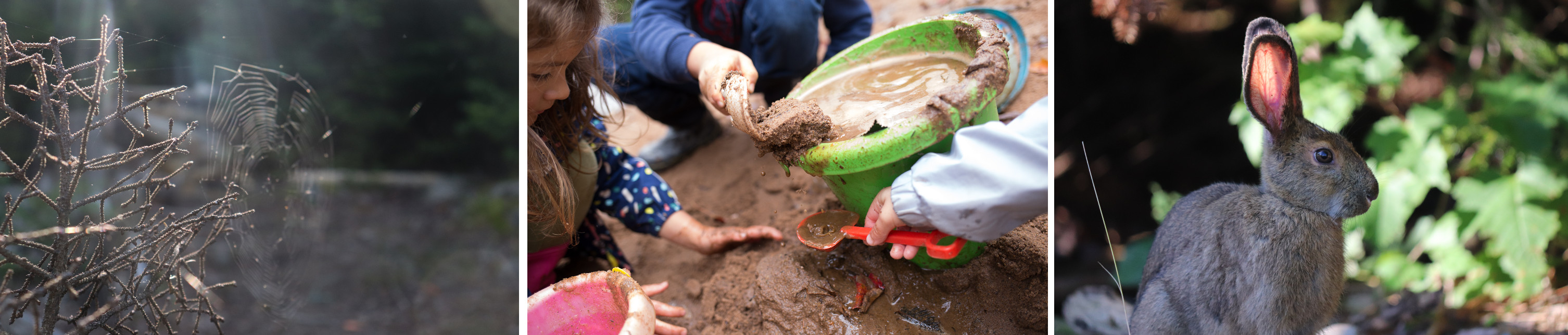 grid of images of children playing in the mud, of a rabbit, and a spiderweb